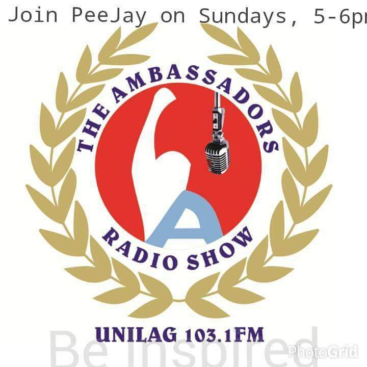 The Ambassadors